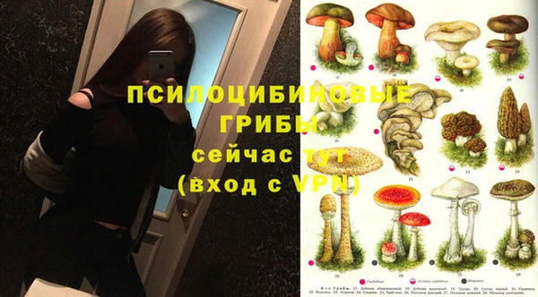 крисы Арсеньев