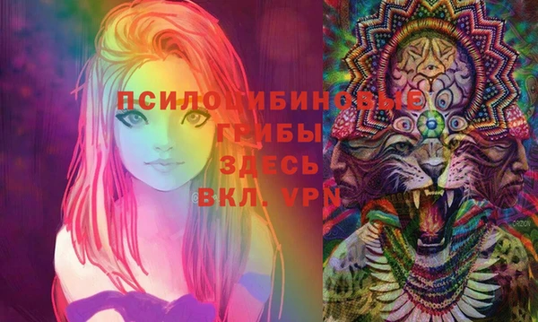 амф Аркадак