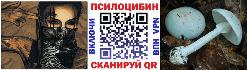 Галлюциногенные грибы Psilocybe  сколько стоит  Спасск-Дальний 